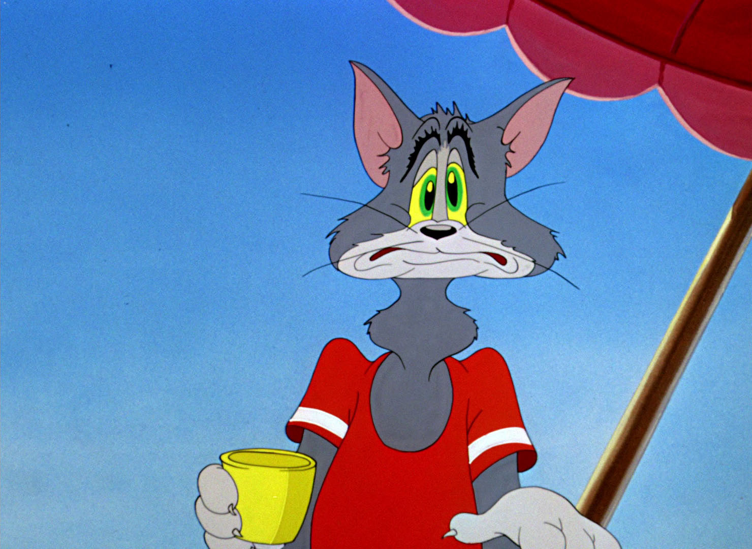 Tom Amp Jerry Pictures Quot Salt Water Tabby Quot