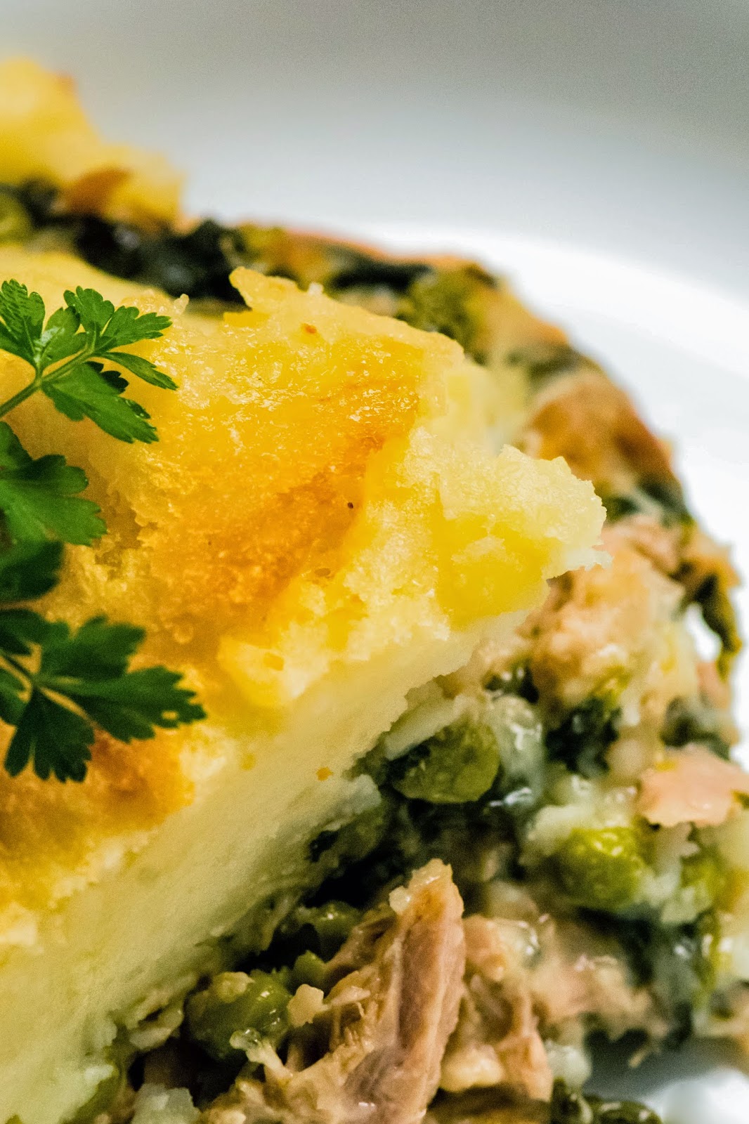 Two Nerds One Scone Tuna Fish Pie