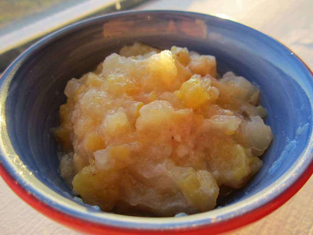 Teeny Stomachs, Big Hearts Homemade Applesauce with Peaches and Banana