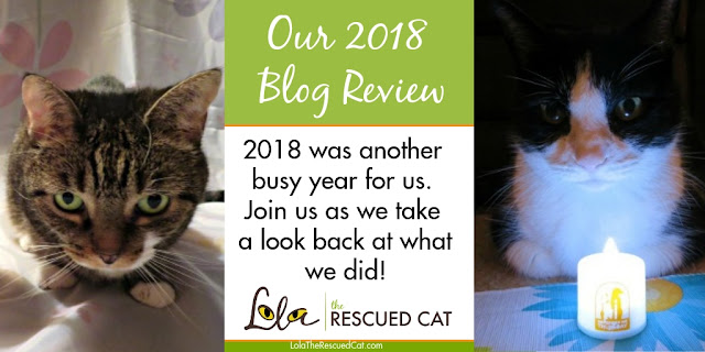 2018 review of Lola The Rescued Cat