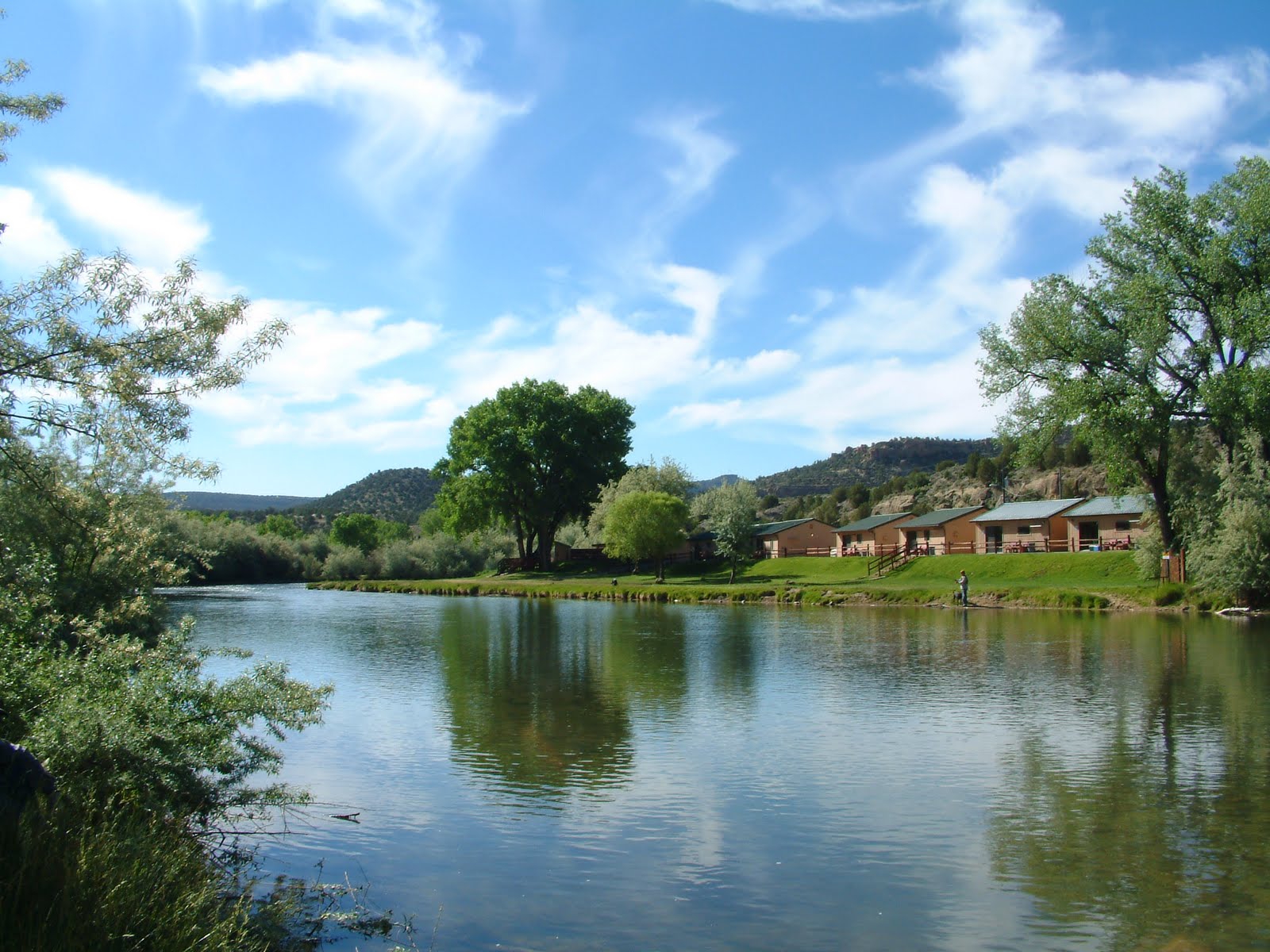 OUTDOORS NM Caddis Hatch on the San Juan River Soaring Eagle Lodge