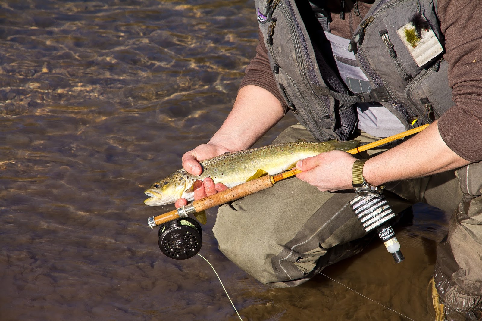 Speckled trout fishing is best with a fly rod, just ask Thoreau