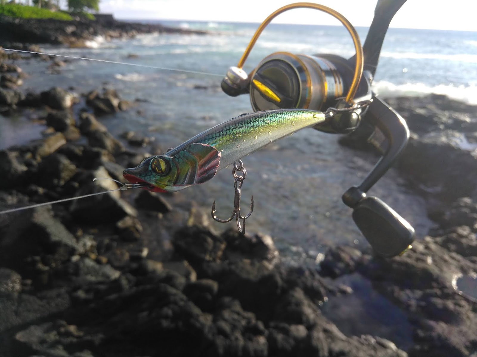 Shore Fishing Big Island Hawaii / Surf Fishing Big Island Hunting the