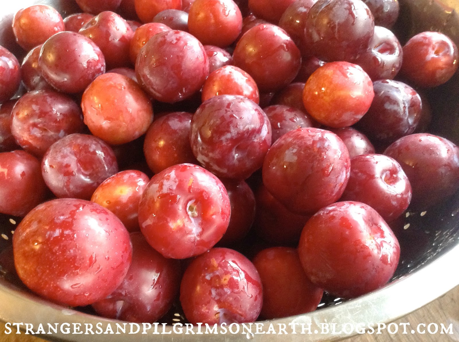 Strangers & Pilgrims on Earth How to Can Plum Sauce and Plum Jam {DIY
