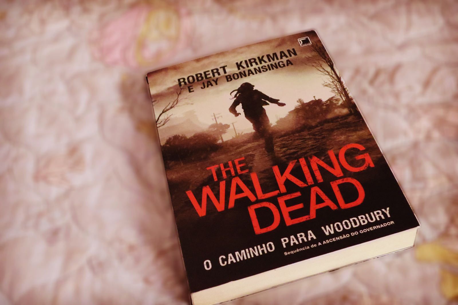 Livro The Walking Dead O caminho para Woodbury Shopee Brasil
