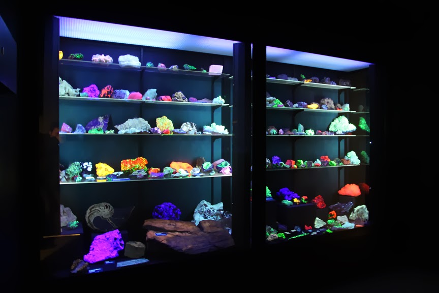 I Have Never... Day 232 The University of Wisconsin Geology Museum