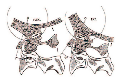 C0-C1 Flexion/Rotation Assessment Diagram - El Paso Chiropractor