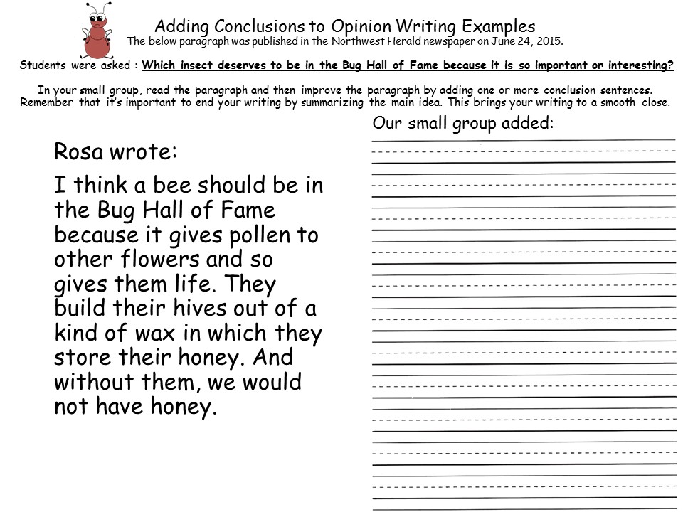 introduction paragraph for opinion essay 5th grade