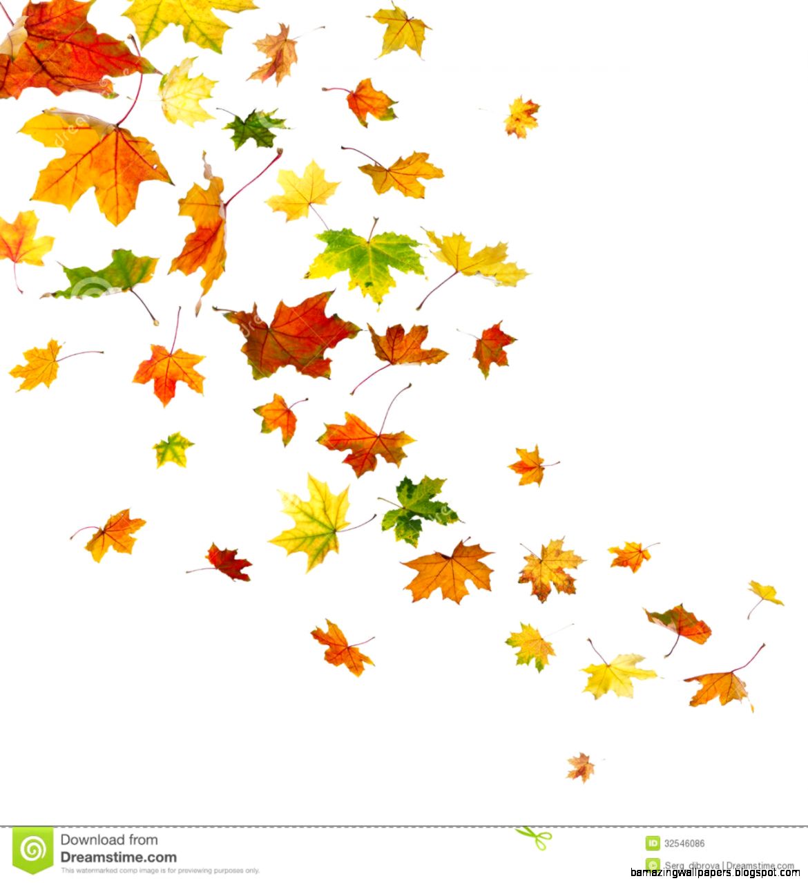 Fall Leaves Clip Art Wallpaper