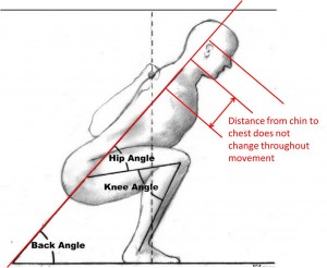 rippetoe+squat.jpg