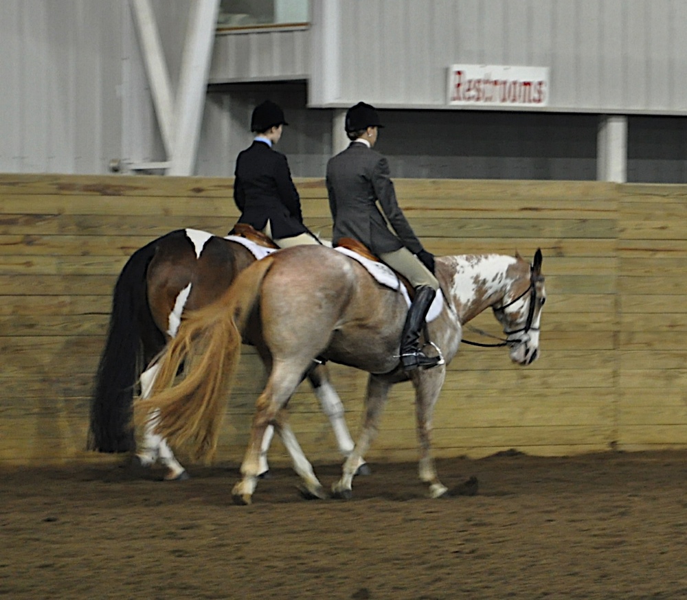 Homeschooling, Horses & Motocross More on the Buckeye show