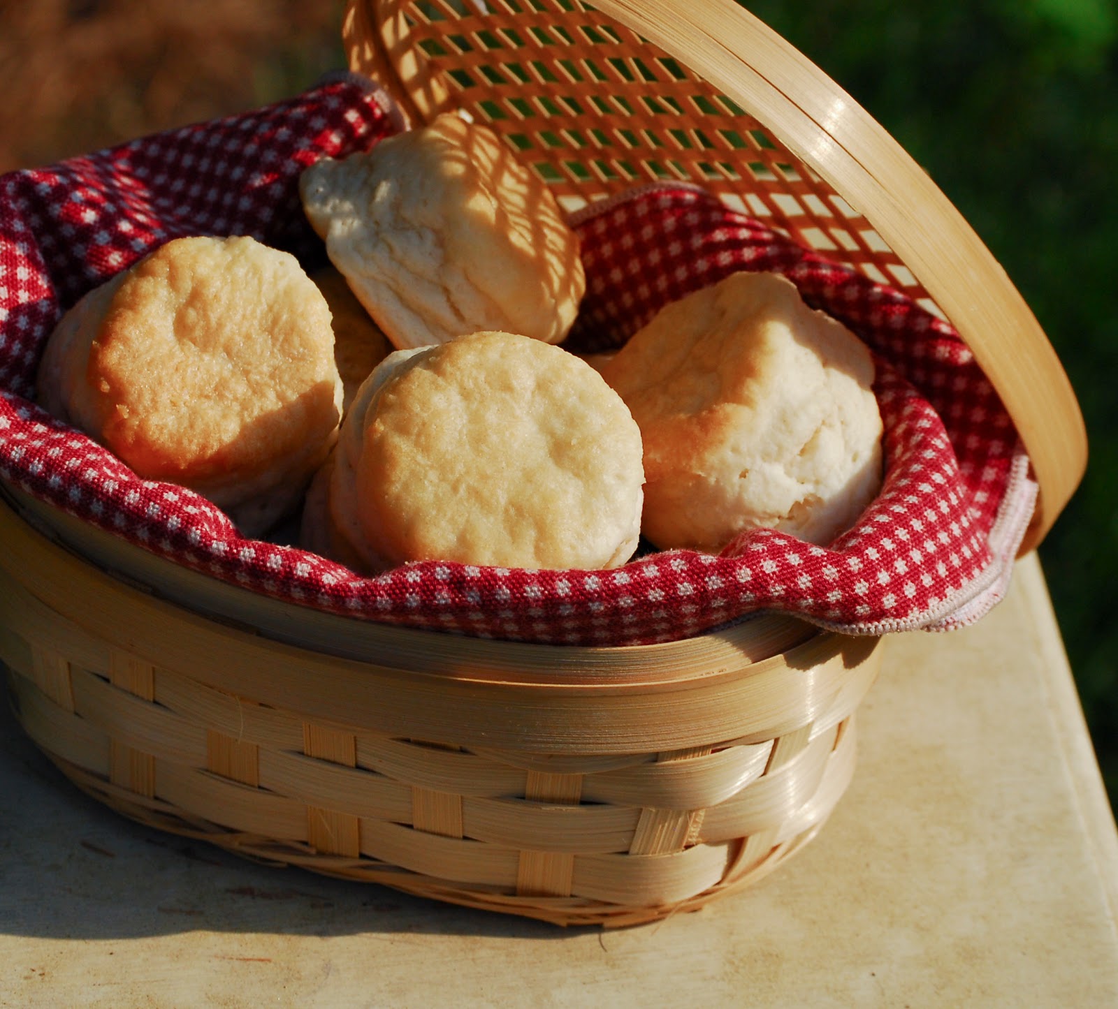 Andrew's Mind Delvings Please Pass the Biscuit Basket...