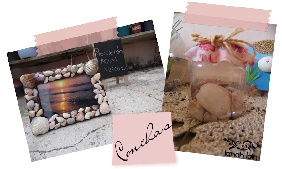 Jugando con conchas