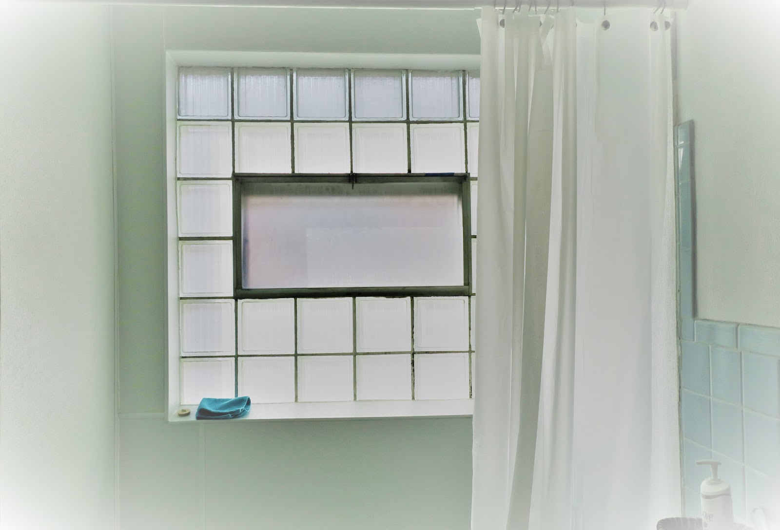 Living Rootless Ferguson My Shower