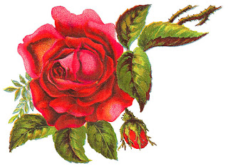 rose flower artwork digital clipart download image