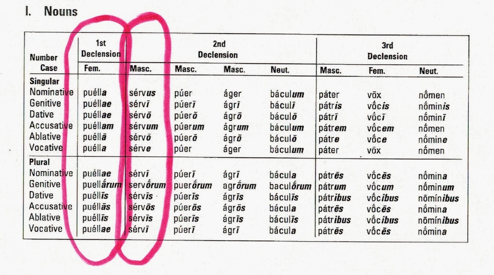 Latin Third Declension Nouns 32