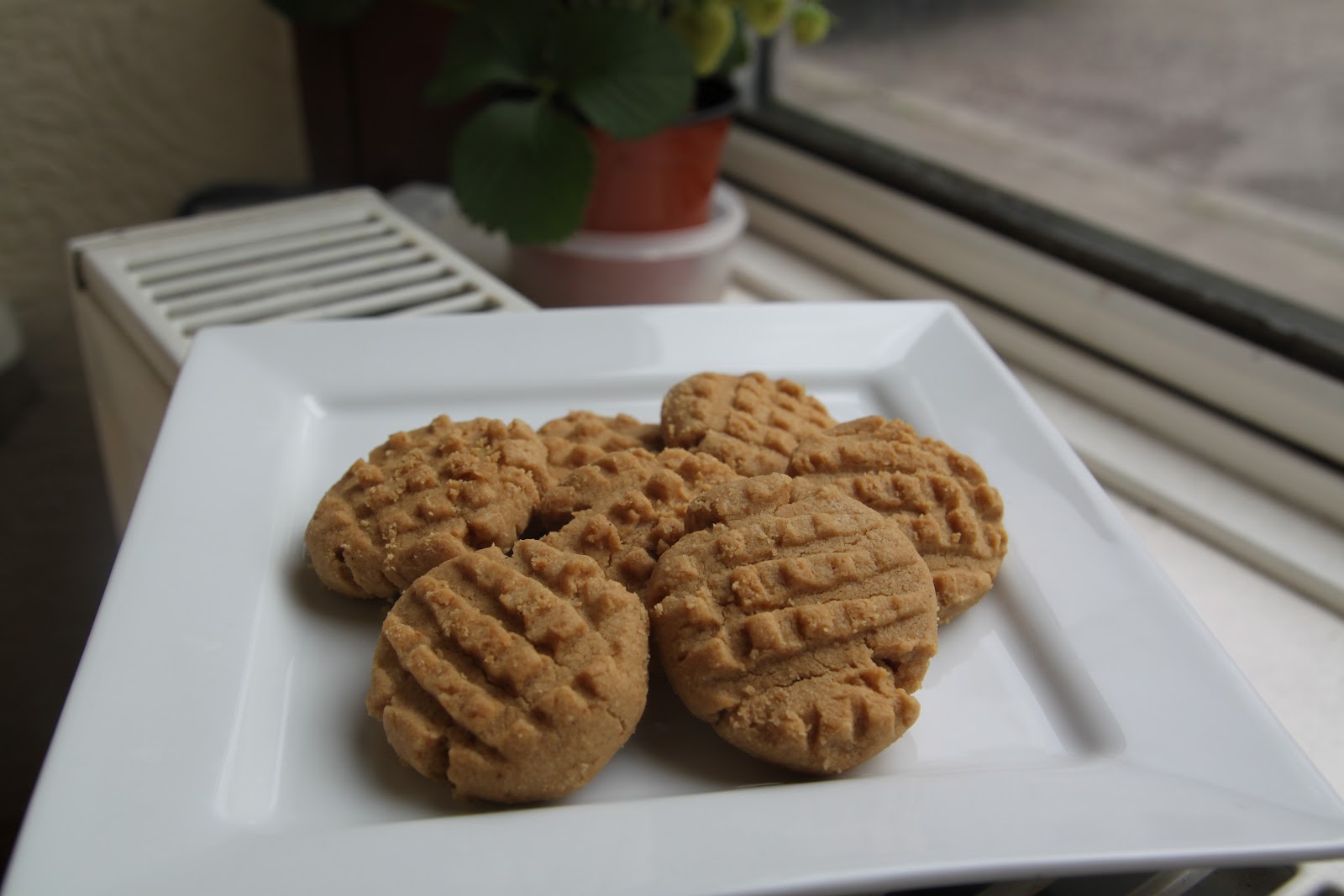 our secret little garden what's cookin Peanut Butter Cookies (Joy of