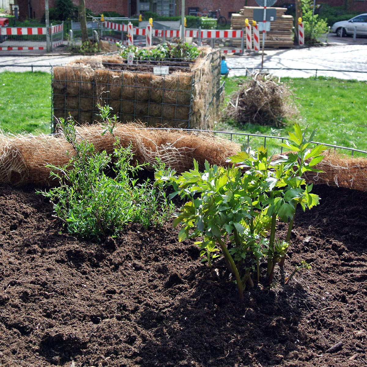 Suttnerblog. Ökostrom, Klimaschutz, Urban Gardening
