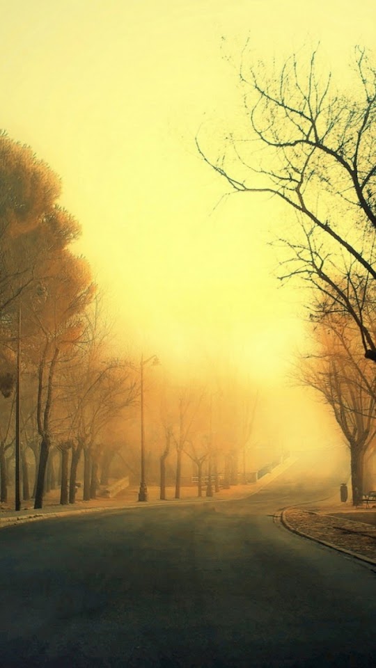 Golden Autumn Trees Road  Galaxy Note HD Wallpaper