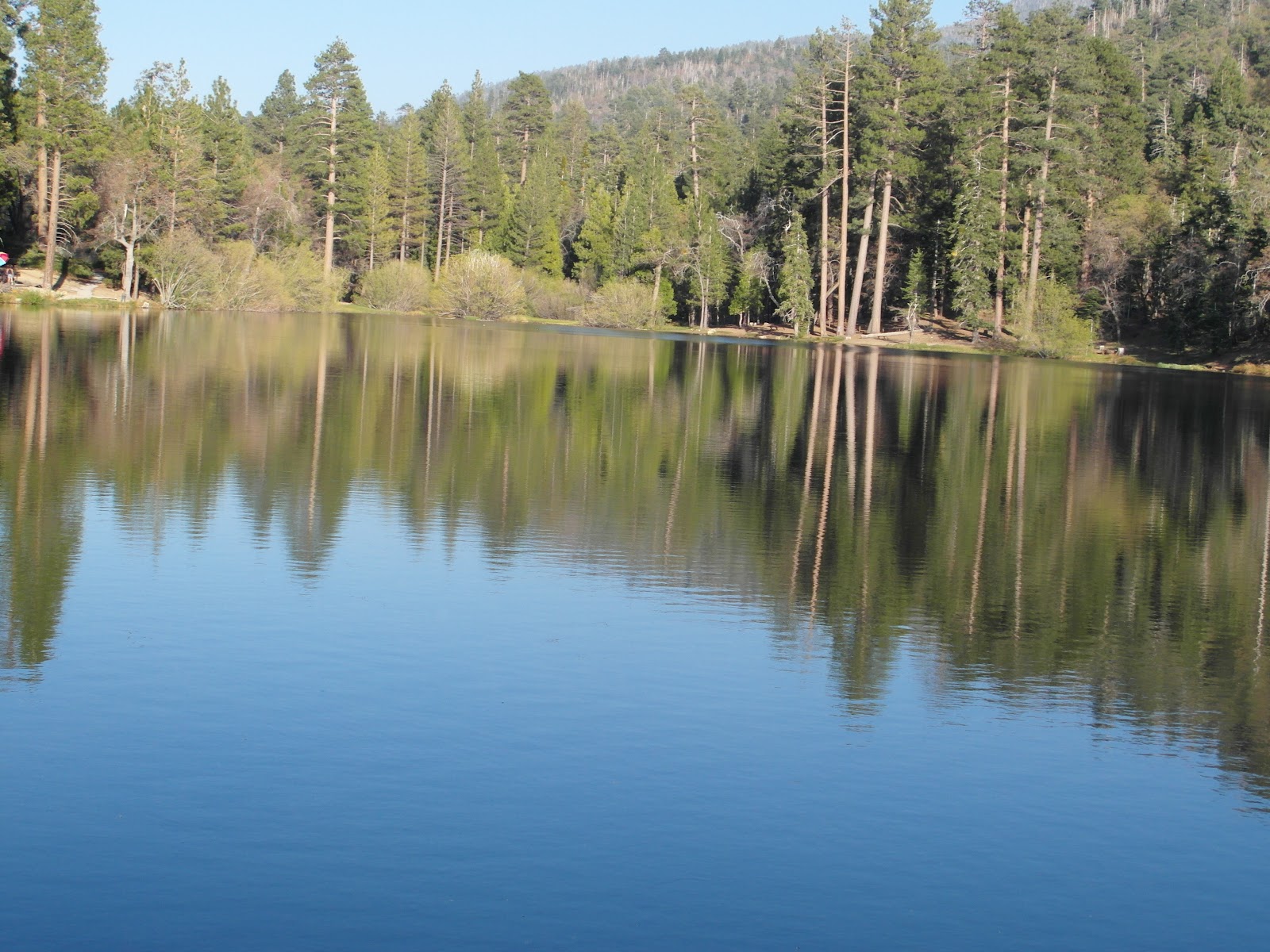 La Buena Vida New dynamic fishing duo dominate Jenks lake