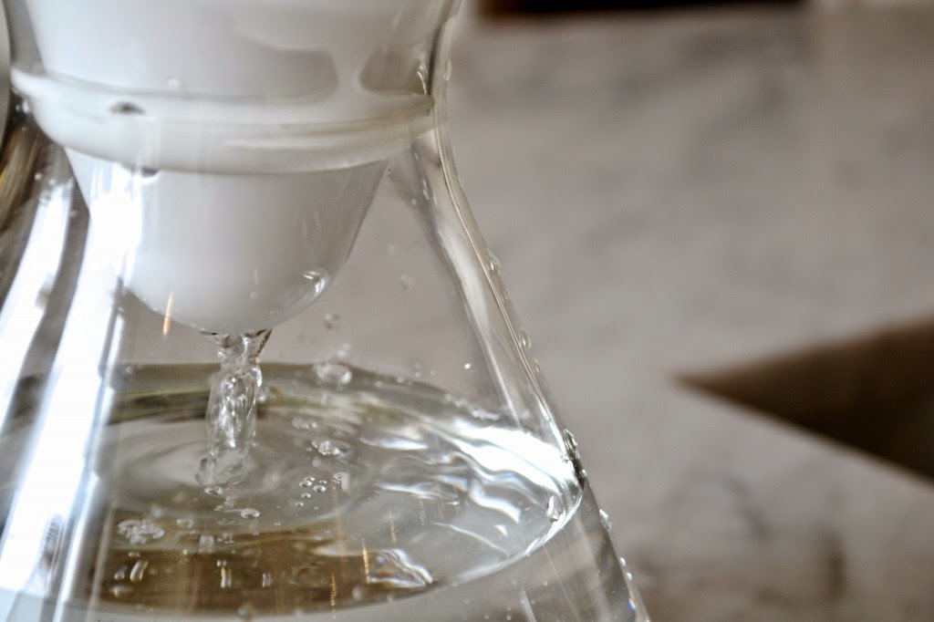 soma is a 100% compostable water filter