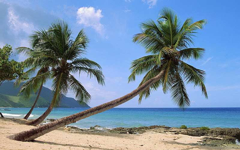 Photo Slideshow - Beautiful Tropical Islands HD - 1001Best Wallpapers