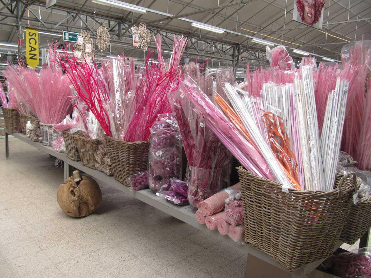 paradis express: Floralux, Dadizele, Belgium paradis express: Floralux, Dadizele, Belgium