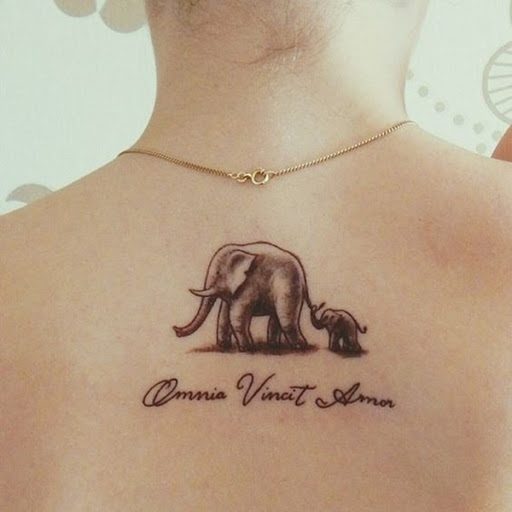 Uma mãe e uma criança elefante pé do tronco e cauda, e estão na foto acima uma citação.