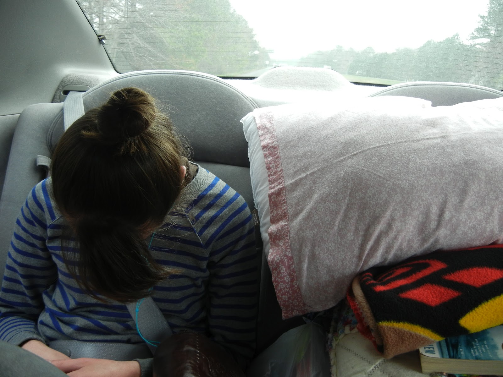 You Say Nerd Like It's A Bad Thing Camping at Trap Pond State Park aka