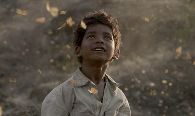 Risultati immagini per lion film google earth