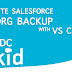 How To Take Complete Salesforce Org Backup With VS Code