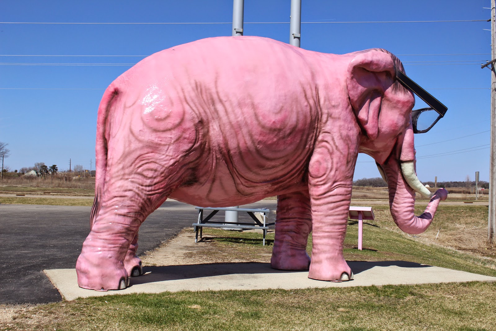 pink toy elephant