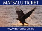 Matsalu Ticket