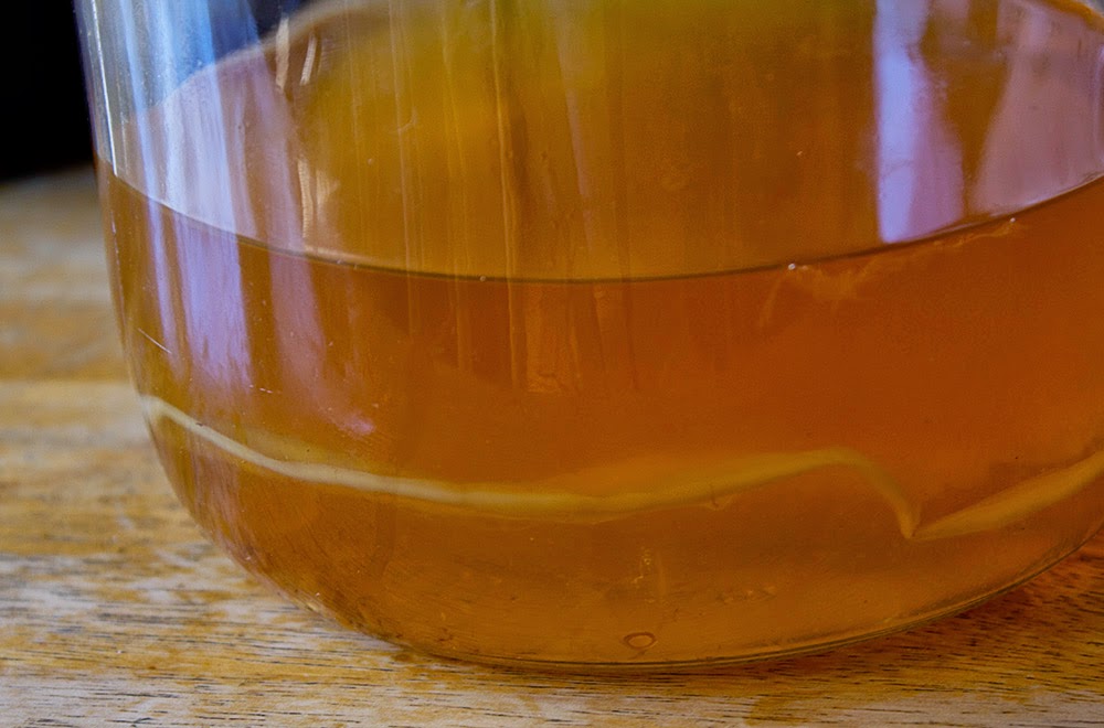 Rurification Robin Edmundson Vinegar Mothers