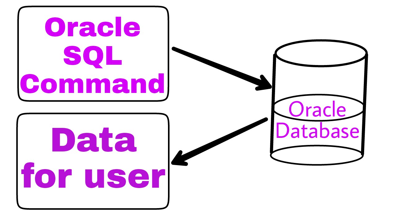 Oracle SQL - Introduction - Learn World