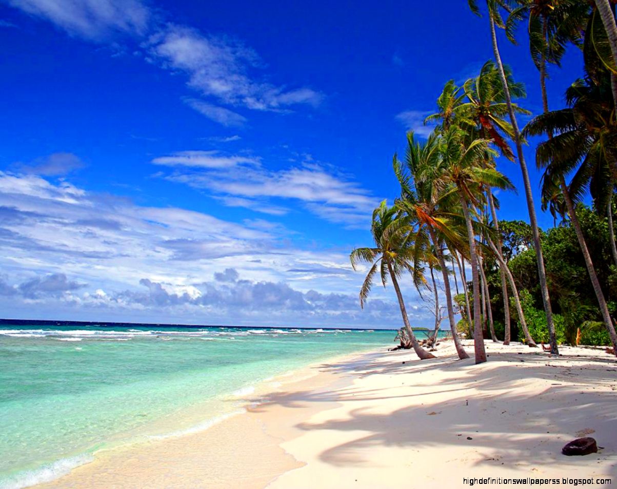 Tropical Beach Under Palms Wallpapers Hd Desktop