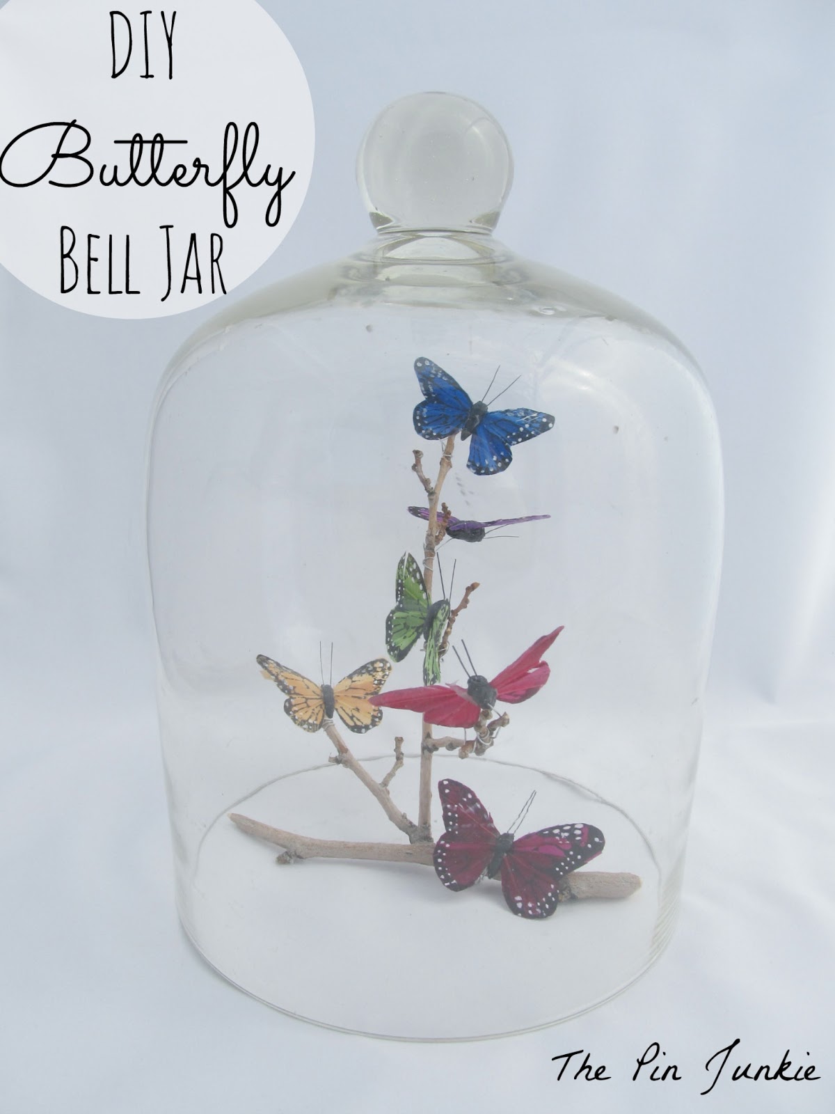 bell jar