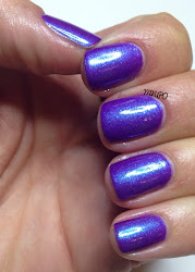 samples dog sunshine designs