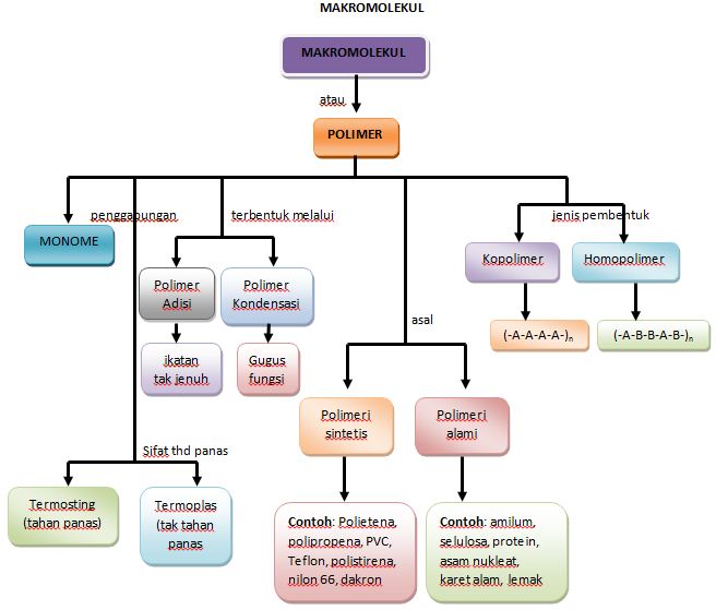 Belajaryuk Makromolekul