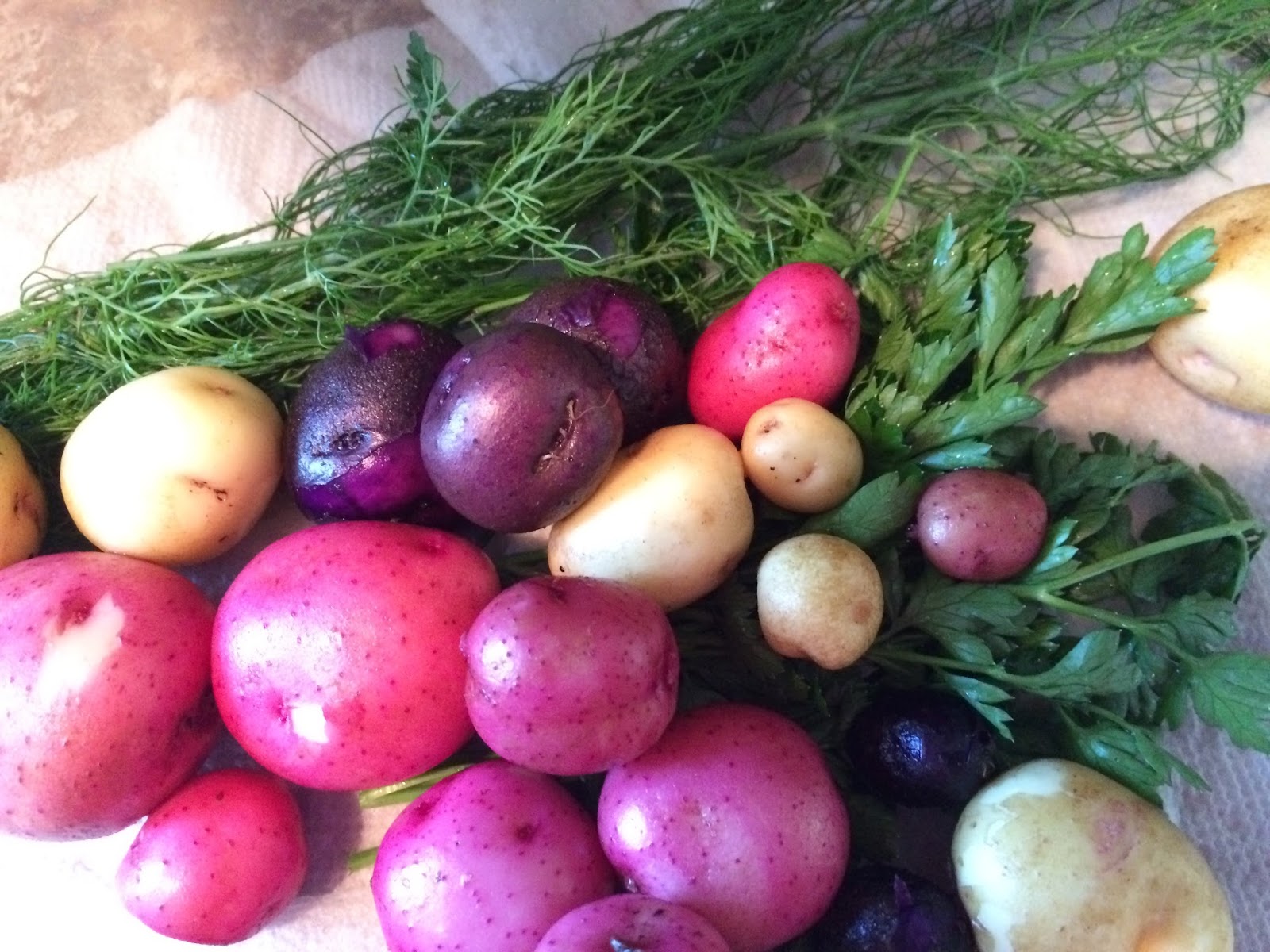 MI Lake Home Garden Garden to Table Recipe Tangy New Potatoes with