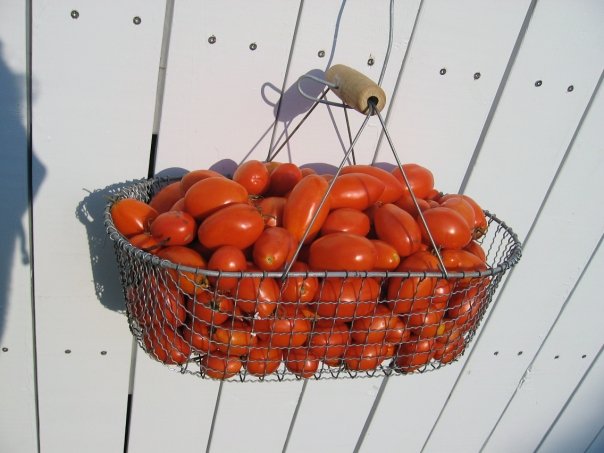 San Marzano Tomato