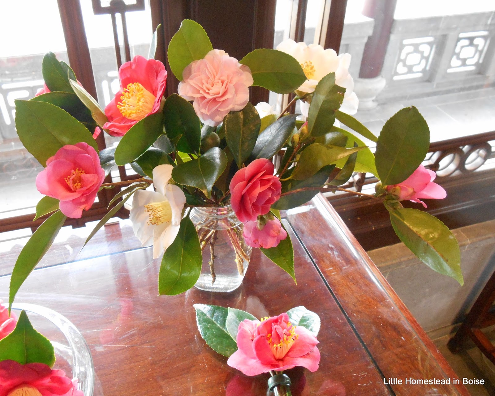 Little Homestead In Boise : Road Trip- Chinese Gardens, Ikea, A