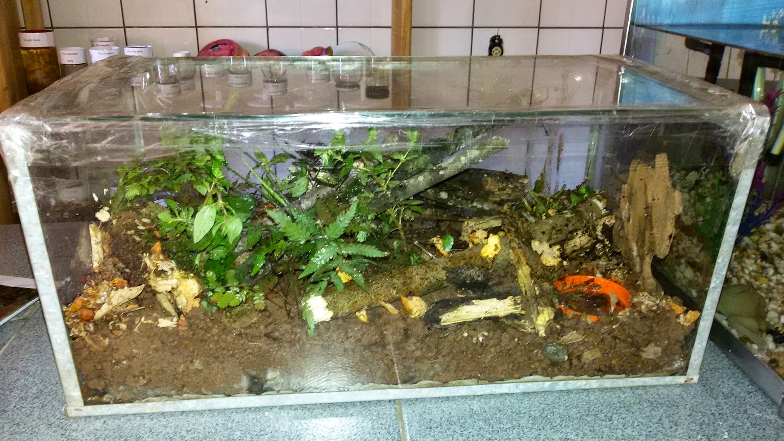 Após Uma Coleta De Exemplares Em Um Ecossistema