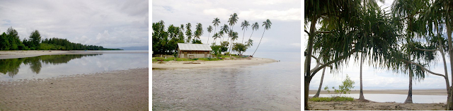 Tempat Wisata HALMAHERA TIMUR yang Wajib Dikunjungi (Provinsi Maluku Utara)