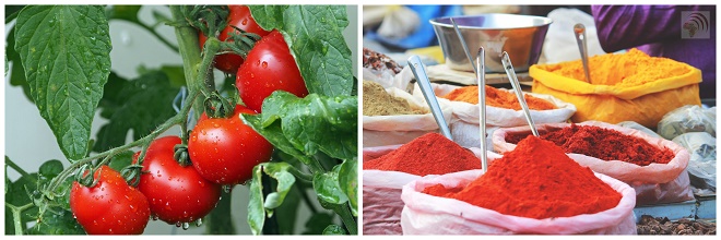 Spiced Ripe Tomato Chutney Spiced Ripe Tomato Chutney