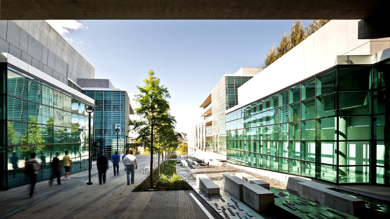 Fort Worth Texas Colleges College Choices