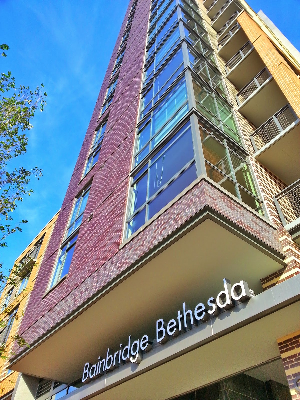 Robert Dyer Bethesda Row LIGHTS, CAMERA, BAINBRIDGE! (PHOTOS)