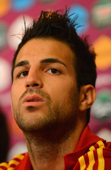 Sports Stars: Francesc Fabregas Profile, Pictures And Wallpapers