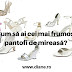 Cum sa ai cei mai frumoşi pantofi de mireasă?