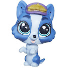 Littlest Pet Shop Pet Pawsabilities Tangier Kingston (#4070) Pet